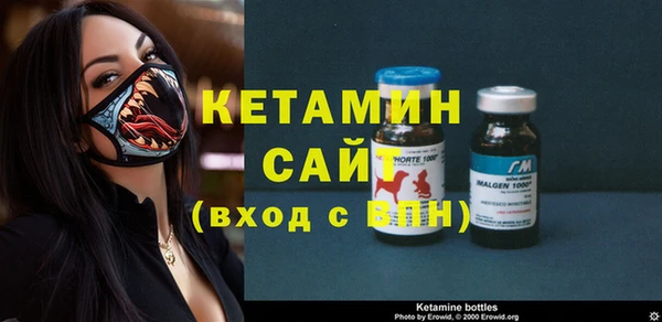 ECSTASY Алзамай