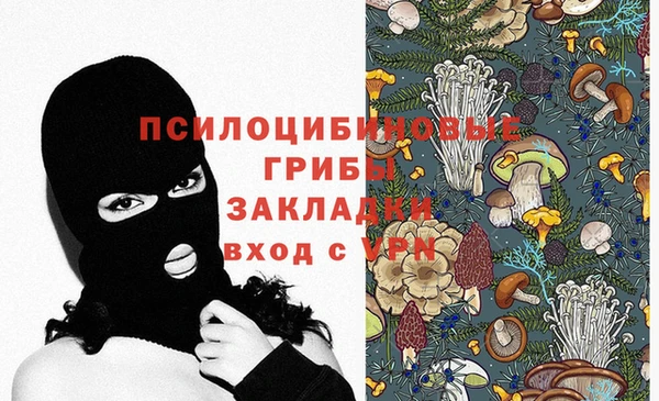 ECSTASY Алзамай