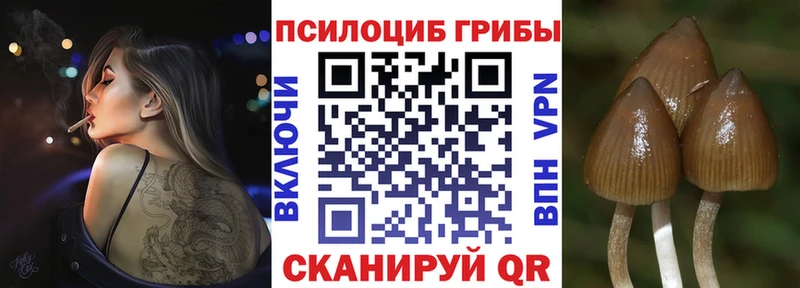 Псилоцибиновые грибы Magic Shrooms  Нижний Тагил 