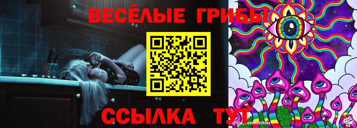Галлюциногенные грибы Psilocybe  Вход с VPN  Нижний Тагил  Галлюциногенные грибы Psilocybine cubensis 