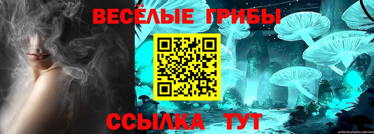 Галлюциногенные грибы мухоморы Нижний Тагил
