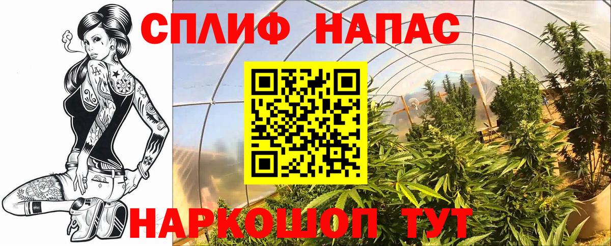 Бошки Шишки ГИДРОПОН Нижний Тагил